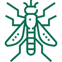 006-mosquito-1.png